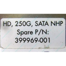 HP 250G 7.2k 432337-001/ 399699-001 / 397377-004 SATA HDD (Великий Новгород)