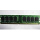 Серверная память 1Gb DDR2 ECC FB Kingmax KLDD48F-A8KB5 pc-6400 800MHz (Великий Новгород).