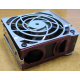 HP 224977 (224978-001) for Proliant ML370 G2/G3/G4 (Великий Новгород).