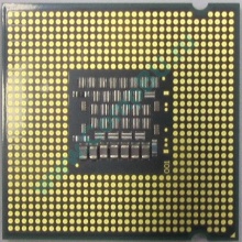 Процессор Intel Celeron Dual Core E1200 (2x1.6GHz) SLAQW socket 775 (Великий Новгород)