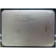 AMD Opteron 6128 OS6128WKT8EGO (Великий Новгород)