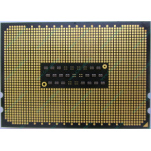 AMD Opteron 6128 OS6128WKT8EGO (Великий Новгород)