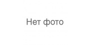 AMD (Великий Новгород)